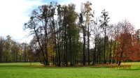 IMG_7596.jpg, 26kB